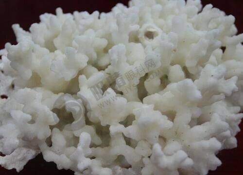 总结：获取美丽信息，开启变得更美之旅