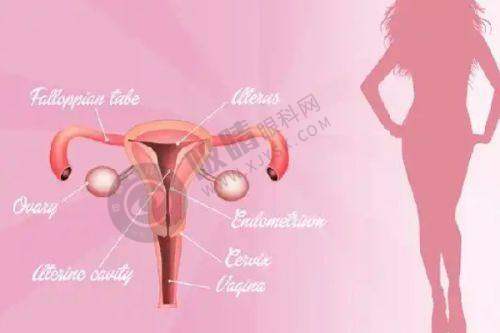 广州十大整形医院哪家强?荔湾中心+华美领衔榜单,医生技术大揭秘