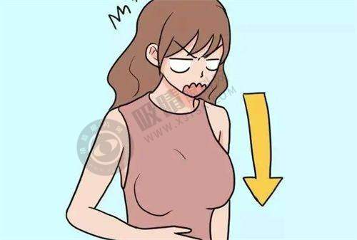 2025年熊猫针成本价及省钱大招