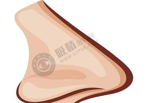 2025年熊猫针去黑眼圈价格匹配