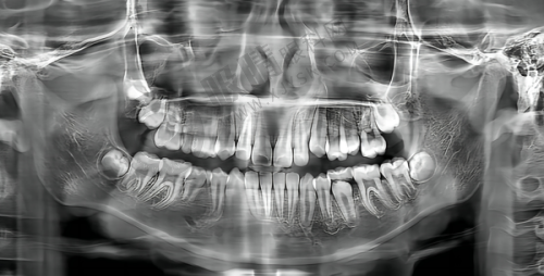 总结与行动号召