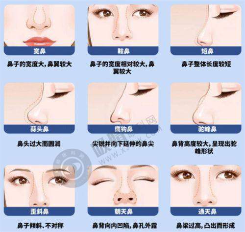 2025年打完熊猫针让钱花得更值的秘技