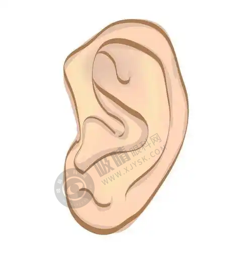 佛山曙光金子医学美容医院王栋医生简介