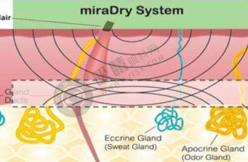 北京卓新华星医疗美容医院——北京大兴区新兴美容机构