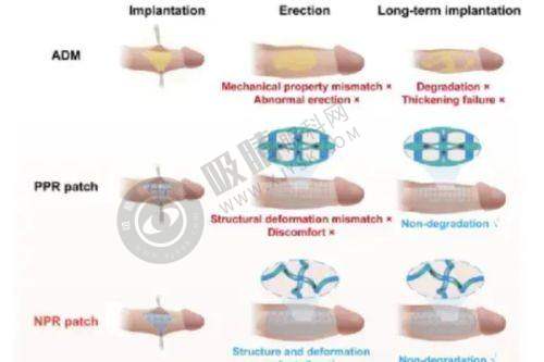 2025 保定整形医院价格表