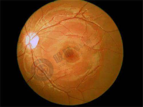 2025年重庆市涪陵区眼科医院排行榜前五揭晓,专业设备+名医团队实力解析!