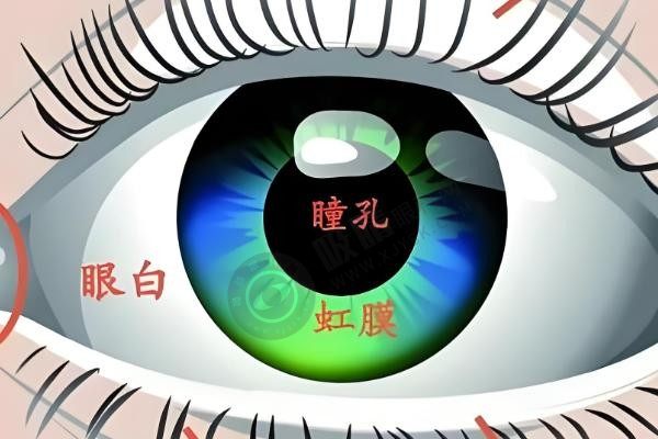 内蒙包头致亮眼科怎么样？专注近视防控，角膜塑形镜3400元起，新乐学、星趣控2980元起配镜