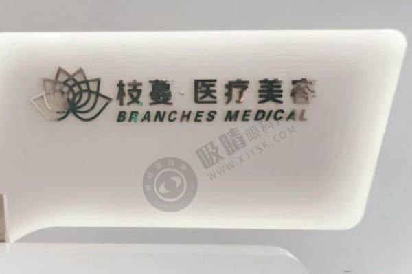 枝蔓医疗美容医院于艳菊医生怎么样？