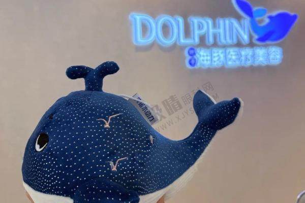 叶子 海豚 医疗 美容正规