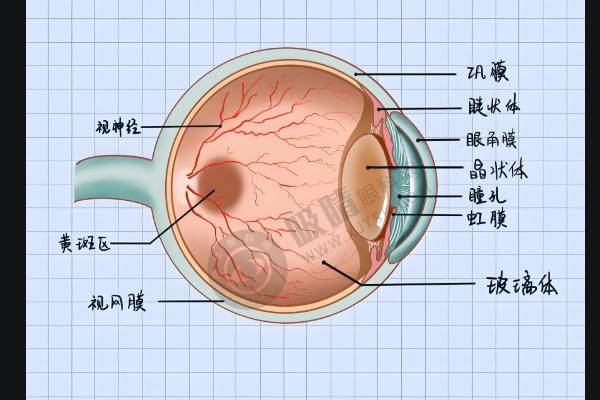 安徽芜湖欧普眼视光优视眼科诊所怎么样？