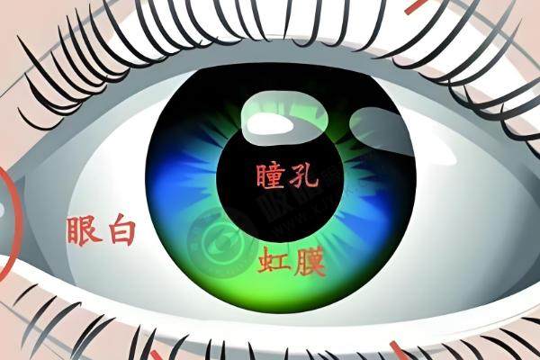 安徽芜湖欧普眼视光优视眼科诊所怎么样？
